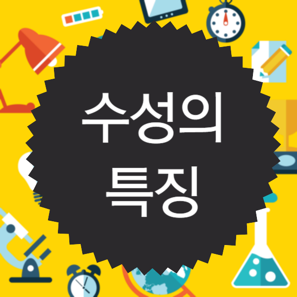 수성의 특징