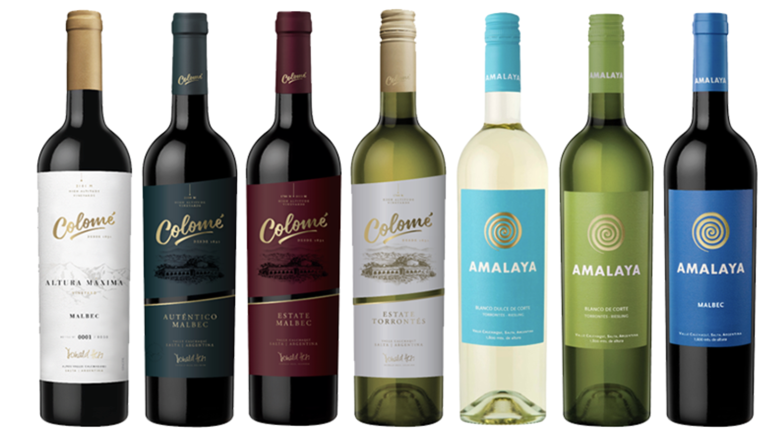 아르헨티나 와인 여행지 추천 (살타 콜로메 와인) 관련 사진.