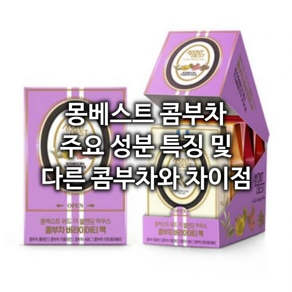 몽베스트 콤부차 성분 특징