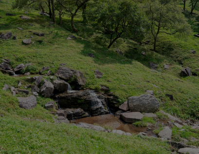 하늘마루 염소 목장 정보 안내