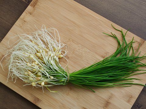 나무 도마위의 달래