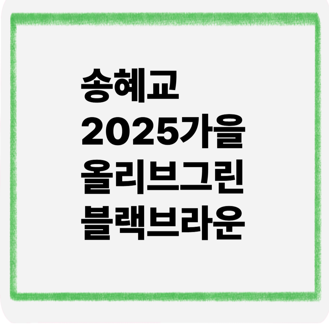 송혜교 2025 가을 올리브그린 블랙 브라운