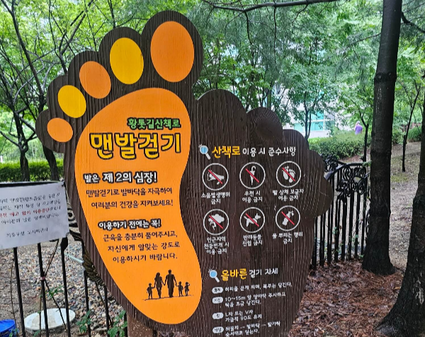 계족산 황토길 걷기, 맨발걷기 효능