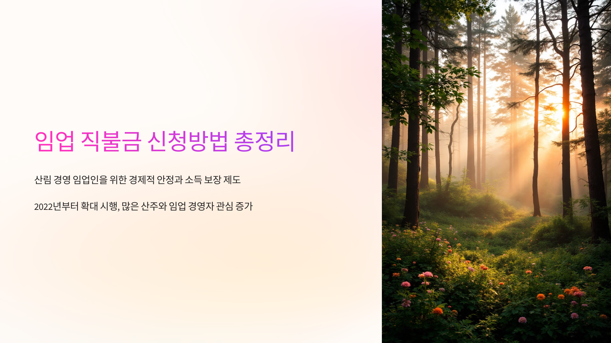 임업 직불금 신청방법 총정리