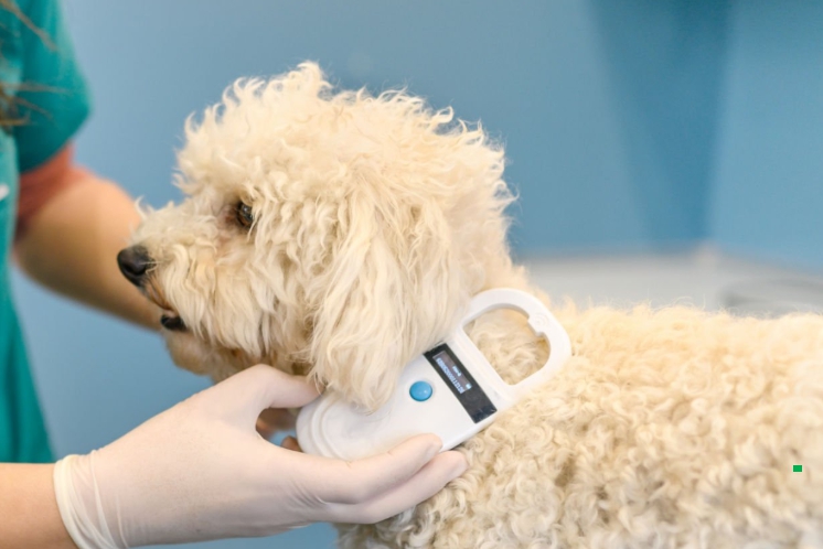 마이크로칩과 등록제의 의미