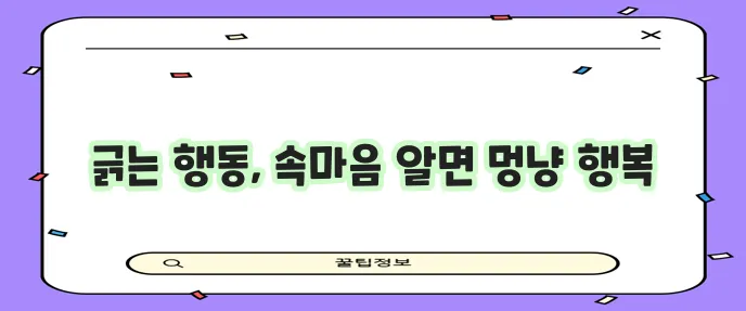 강아지 바닥 긁는 행동 그 언어 이제 이해해야 합니다