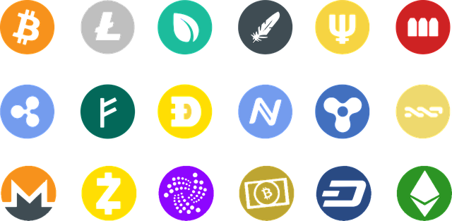 2025 가상화폐 거래소 순위