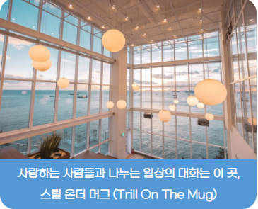 태종대 유람선, 짚라인 예매