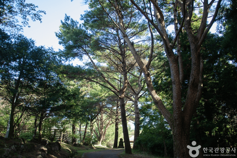 서귀포자연휴양림