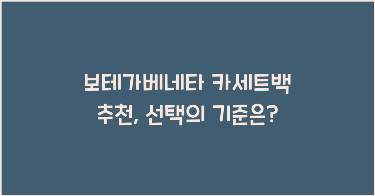 보테가베네타 카세트백 추천