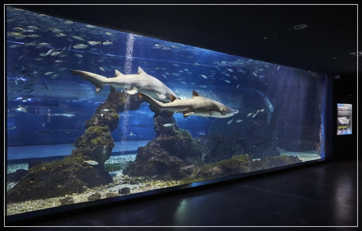 제주도 가볼만한곳 베스트10 아쿠아플라넷 제주