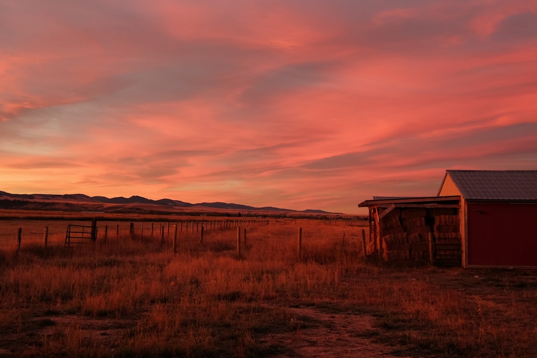 Rural Housing