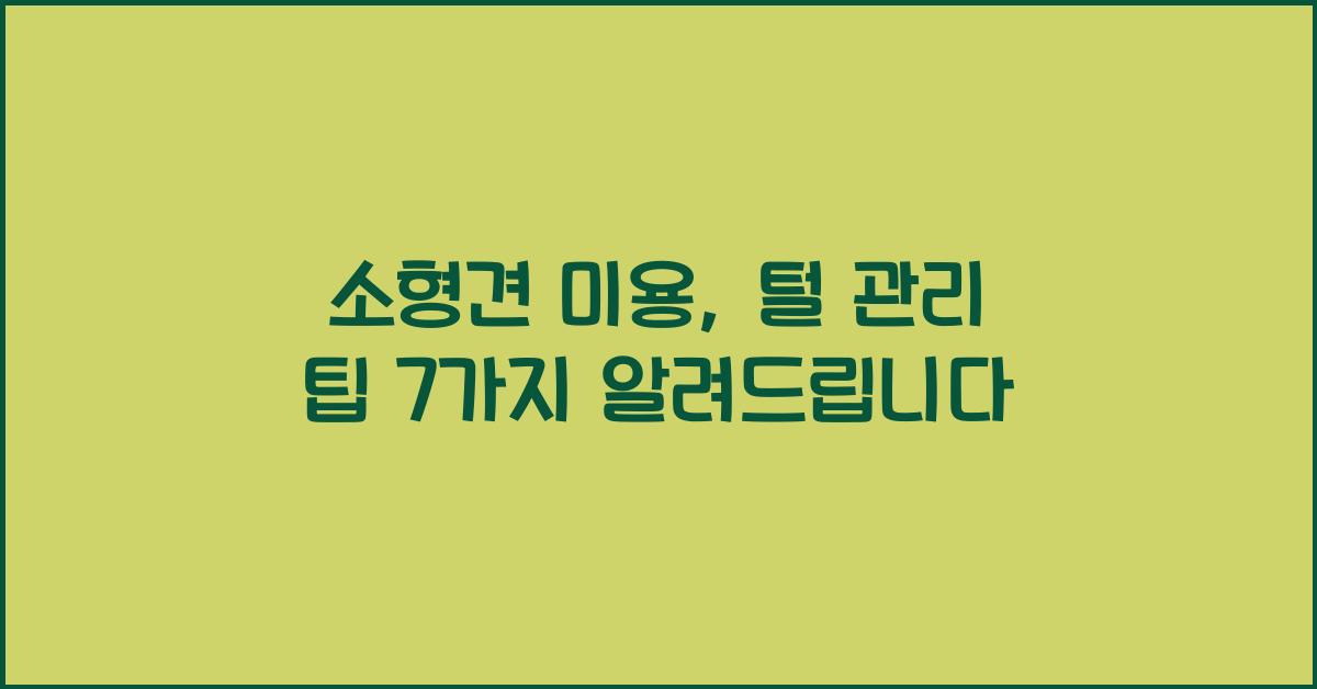 소형견 미용, 털 관리 팁
