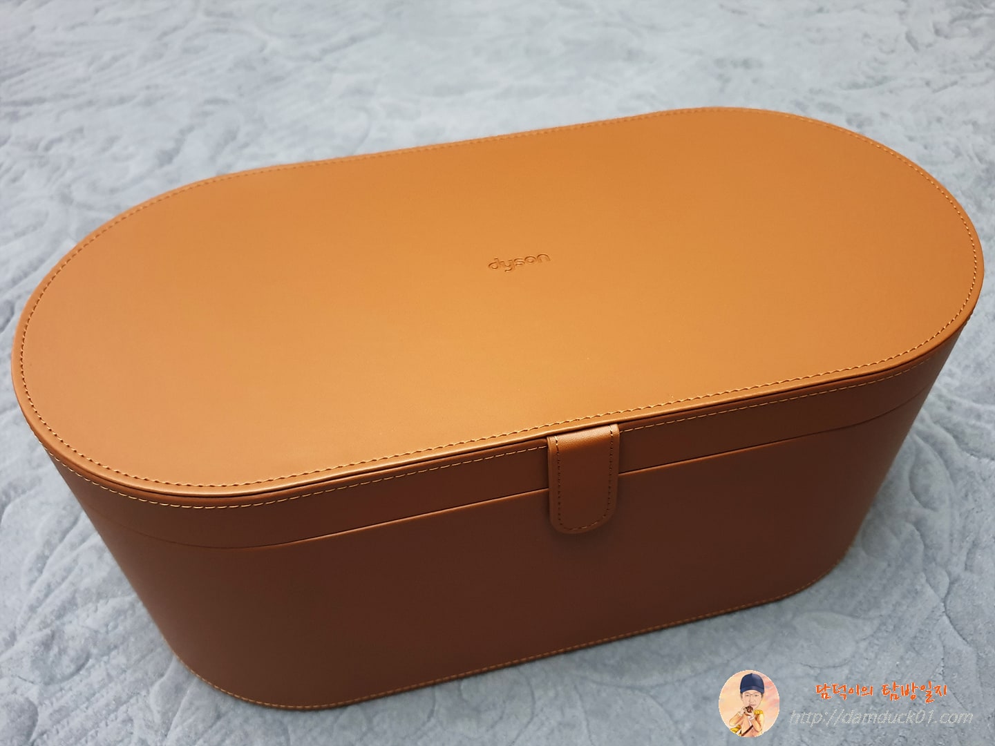 다이슨 라지 미색 보관 케이스