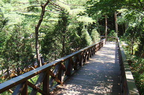 강릉 솔향수목원