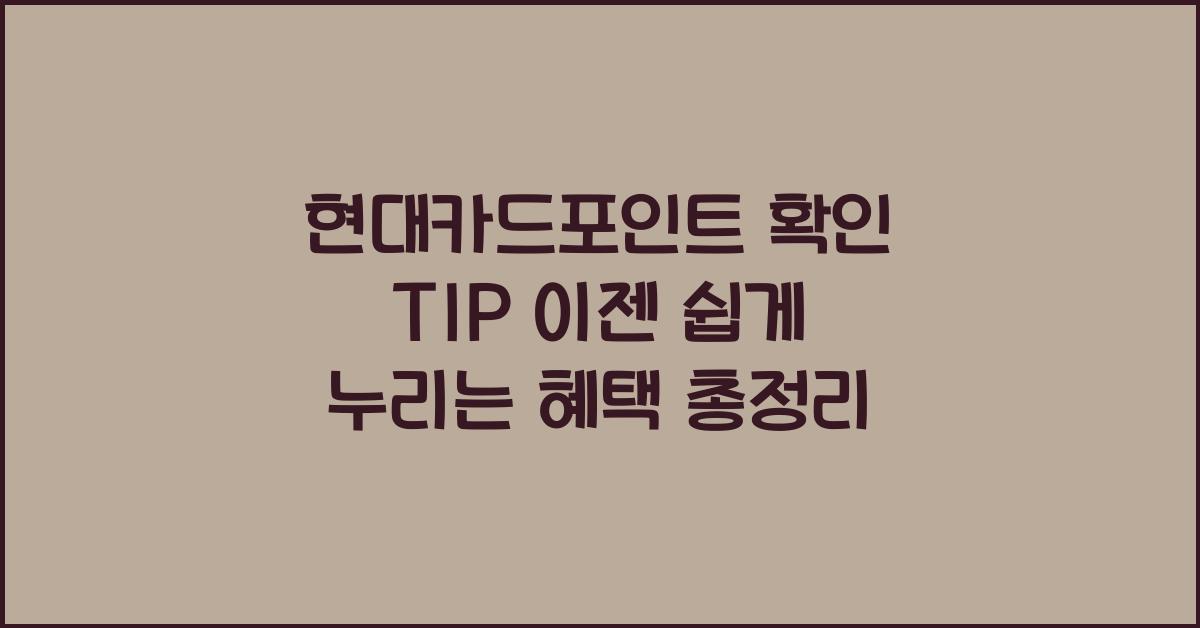 현대카드포인트 확인 TIP