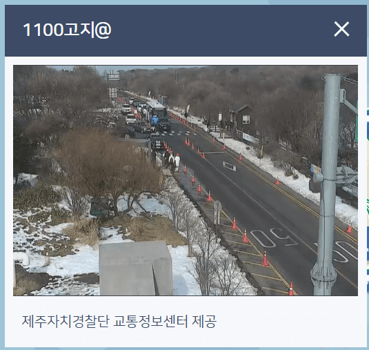 제주 교통 cctv 보는 방법