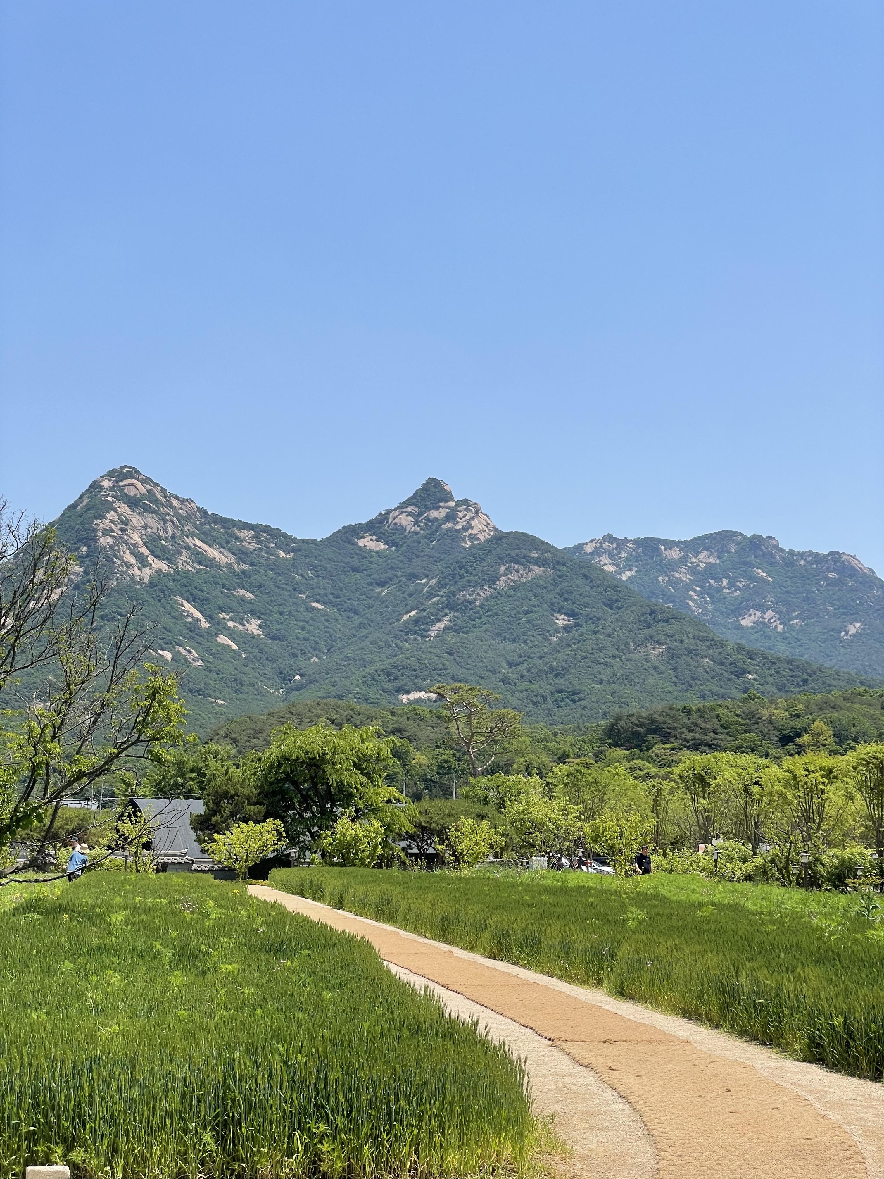 파노라마 베이커리 카페