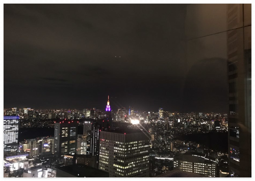 도쿄도청 전망대