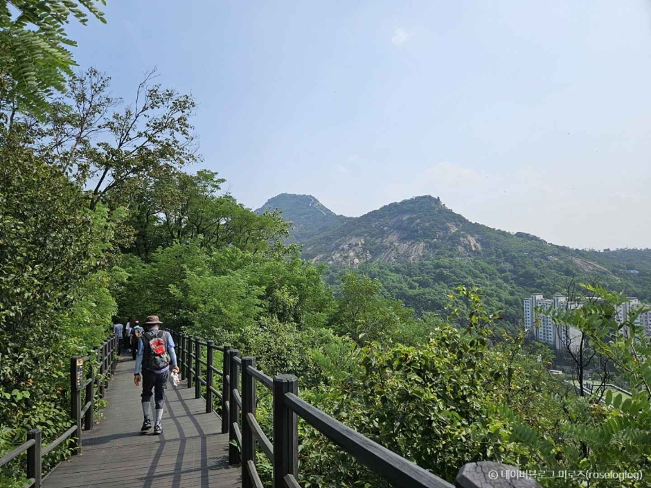 안산자락길