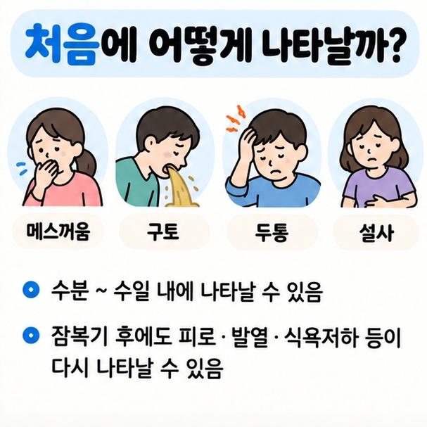 메스꺼움 구토 두통 설사 잠복기 후기 증상과 피부 홍반 부종 물집을 시간 흐름에 따라 정리한 이미지