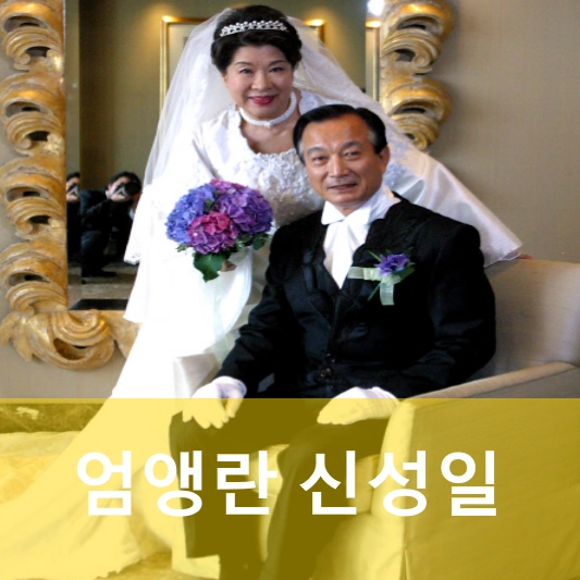 엄앵란 신성일 