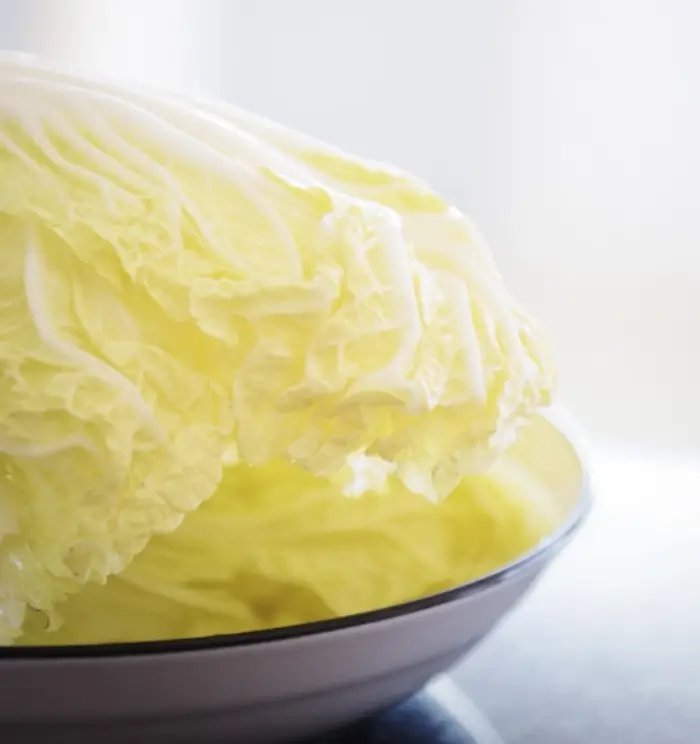 김장배추 절이는 법