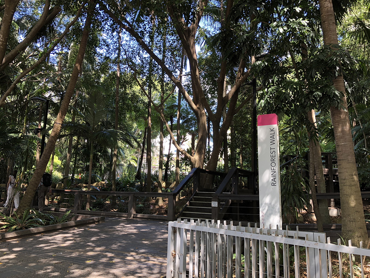 브리즈번 레인포레스트워크