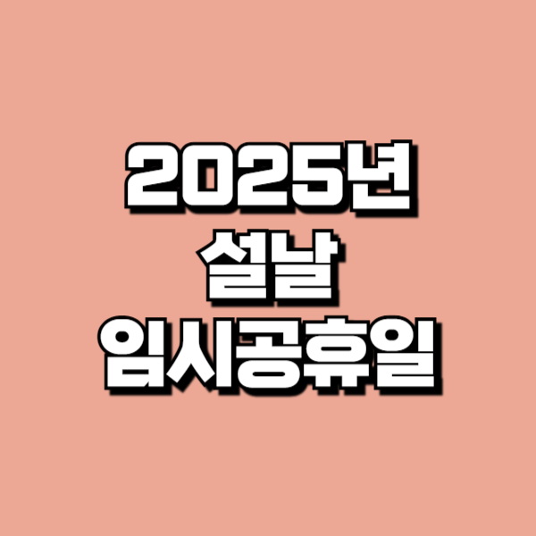 2025년설날임시공휴일