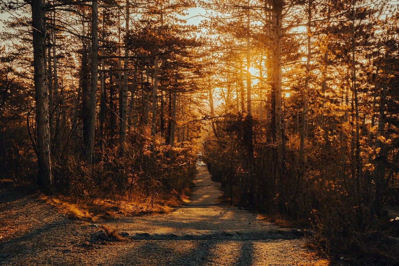 마음이 무거운 날, 발걸음은 산으로 향합니다.