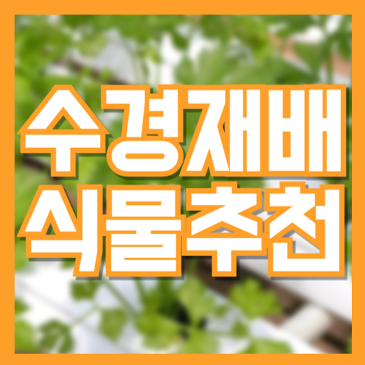 수경재배 식물 추천 TOP 10 &ndash; 초보도 쉽게 키우는 실내 식물