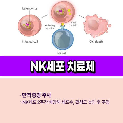 NK세포 치료제