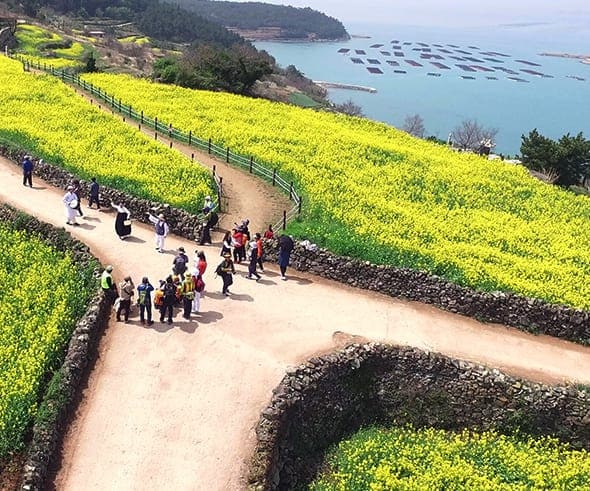 슬로시티 청산도