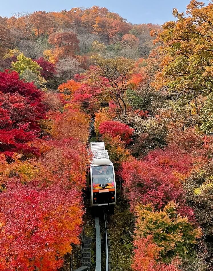 가을 단풍 명소 여행 추천