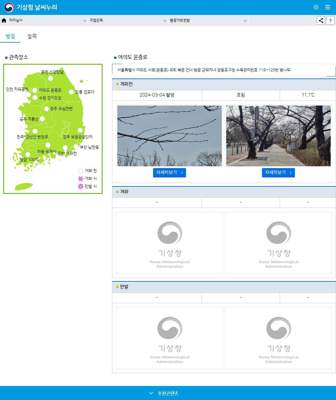 기상청 아이누리 벚꽃개화상황 안내 페이지