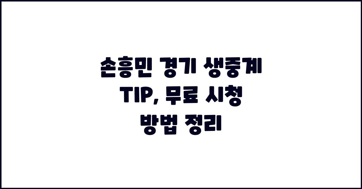 손흥민 경기 생중계 TIP