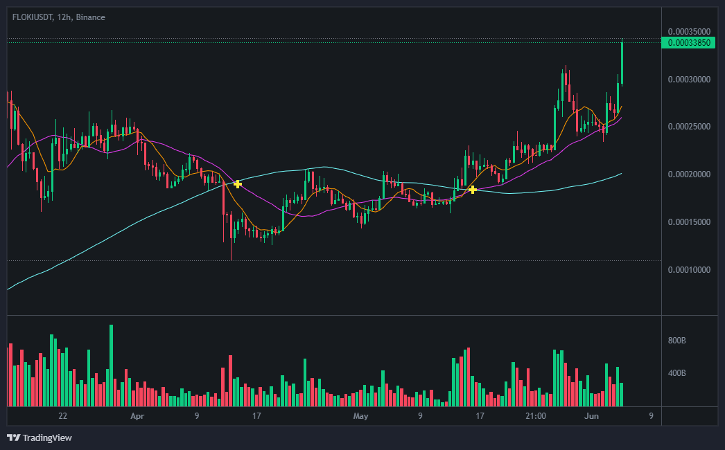 플로키(FLOKI) 코인 차트 분석