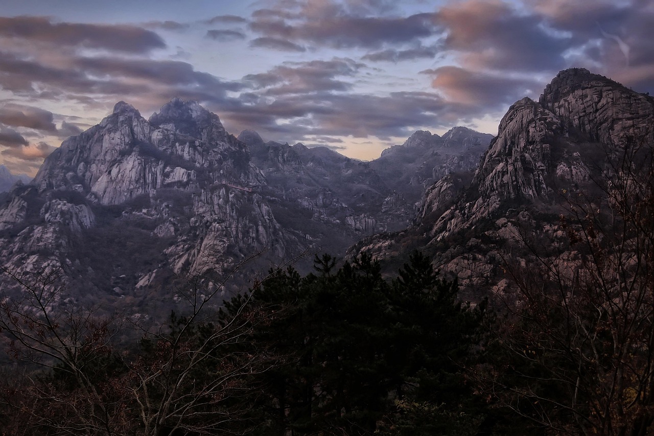 한국 역대급 공포 영화 추천(추격자, 곡성, 장화홍련)