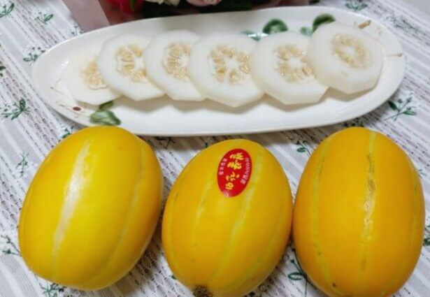 여름 제철 과일 참외 놀라운 10가지 효능과 부작용 및 참외 씨&amp;#44; 참외 껍질 효능