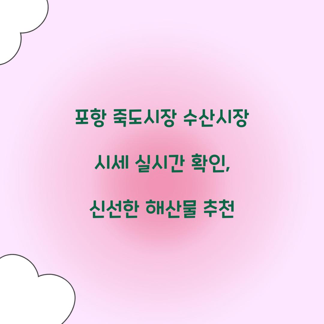 포항 죽도시장 수산시장 시세 실시간 확인