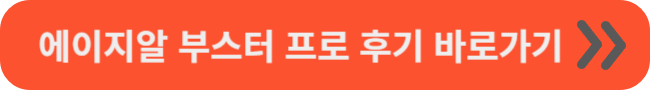 에이지알 부스터 프로 후기