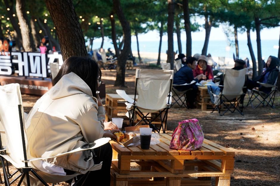 2025 강릉커피축제☕ 일정 및 프로그램 총정리