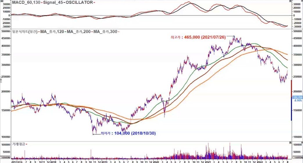 네이버 일봉 2020