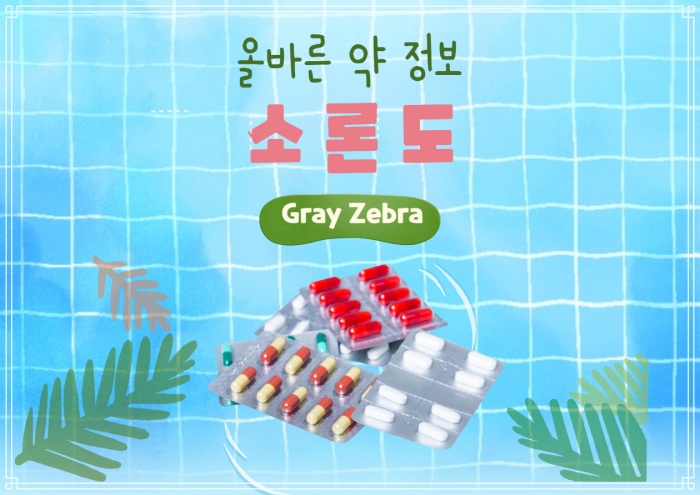 소론도정