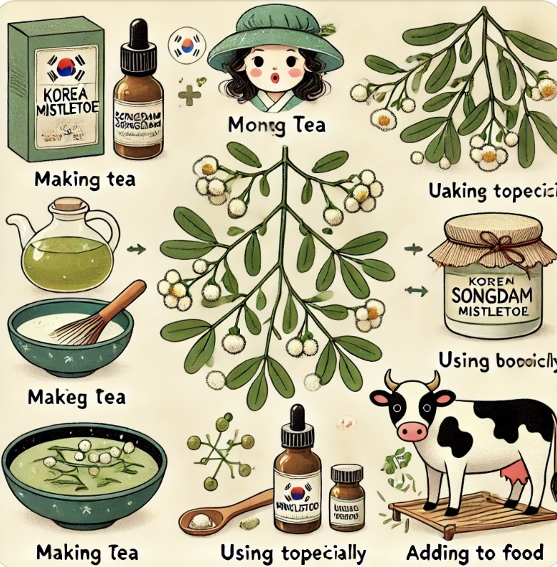 송담 효능: 전통 한방 약재의 놀라운 건강 효과