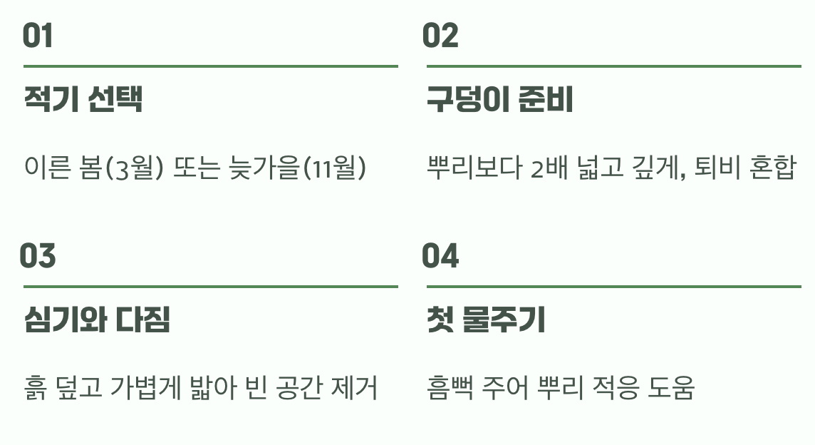 3. 성공적인 첫걸음, 옮겨 심기