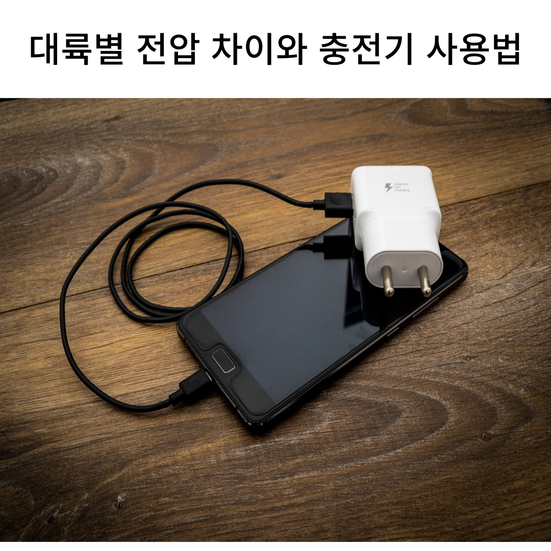 대륙별 전압차이와 충전기 사용법