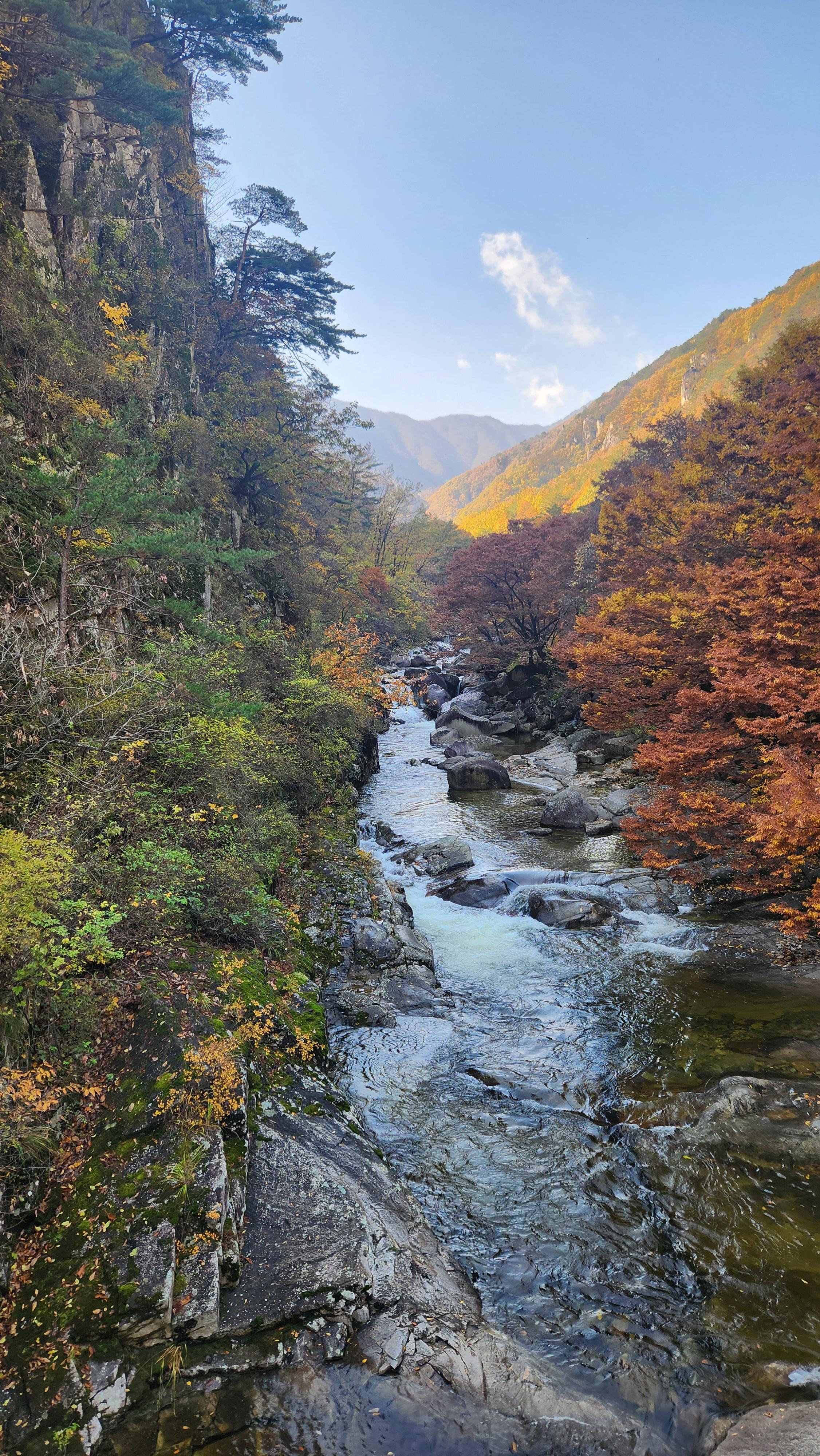 강원도 두타산 베틀바위 코스