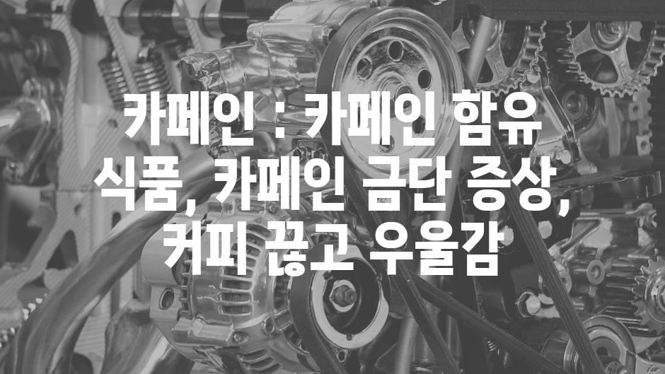 샘플 (59)