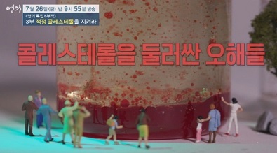 적정콜레스테롤